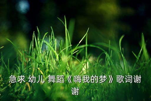 天上的梦幼儿舞蹈,第二集:穿上我的迷彩服，真好看!