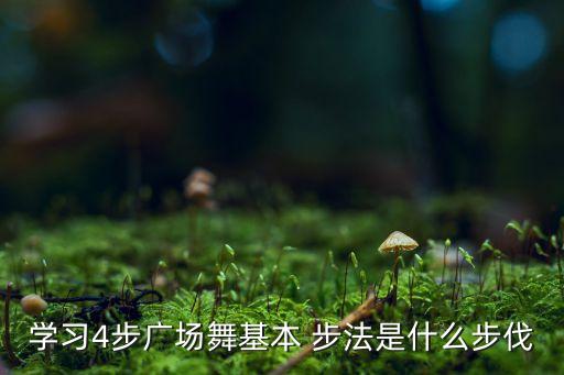 学习4步广场舞基本 步法是什么步伐