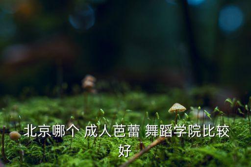  北京哪个 成人芭蕾 舞蹈学院比较好