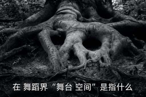 舞蹈和空间,舞蹈3d空间概念已转化为编舞者主观形式