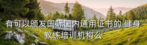 有可以颁发国际国内通用证书的 健身教练培训机构么