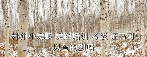 查舞蹈考级证书,中小学教师资格考试网查询中国舞蹈家协证书