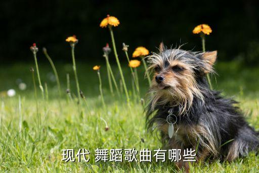 舞蹈歌,广场舞通行证:更具娱乐性的舞蹈不是现代舞