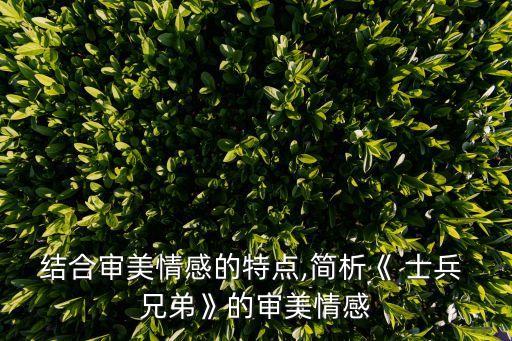 结合审美情感的特点,简析《 士兵 兄弟》的审美情感