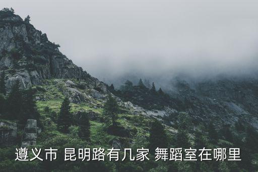 昆明舞蹈培训学校,华玲舞蹈专注成人基础水平舞蹈培训