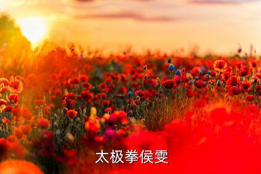  太极拳侯雯
