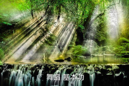  舞蹈 基本功