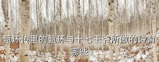 甄?执?舞蹈 菩萨蛮,甄嬛出宫听云鼓掌欢迎来报到