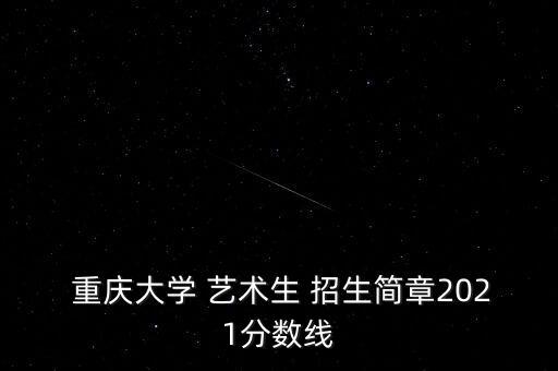 重庆大学 艺术生 招生简章2021分数线
