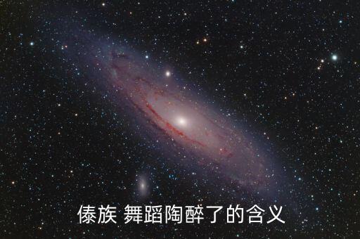  傣族 舞蹈陶醉了的含义