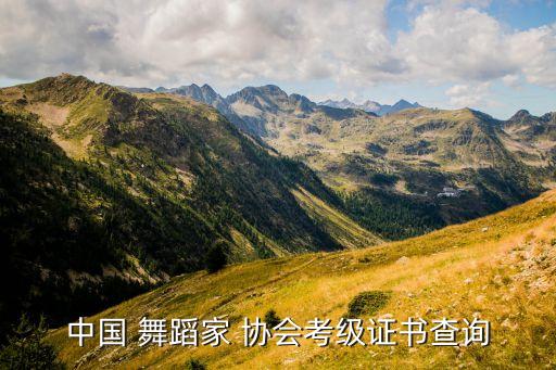 中国 舞蹈家 协会考级证书查询