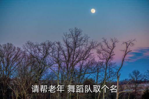 请帮老年 舞蹈队取个名