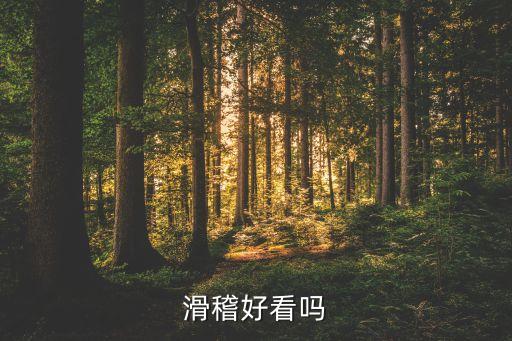 看我七十二变舞蹈分解,武汉出现第一起确诊病例