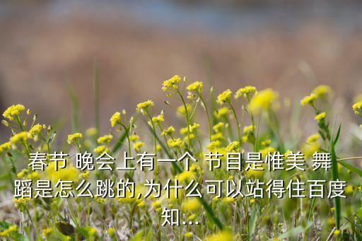 春节 晚会上有一个 节目是惟美 舞蹈是怎么跳的,为什么可以站得住百度知...