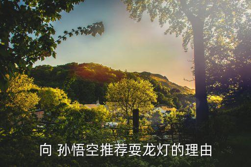 向 孙悟空推荐耍龙灯的理由
