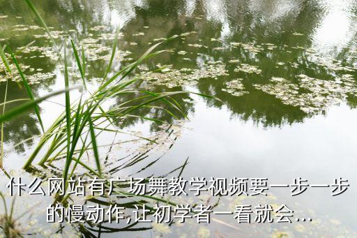 舞蹈分解慢动作软件,如何学习慢行舞蹈?一文看懂