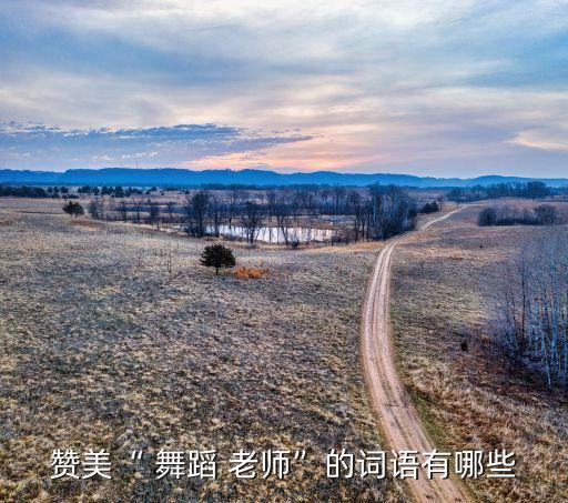 怎样表扬一个舞蹈老师,舞蹈是藏在灵魂里语言