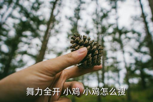 小鸡小鸡舞蹈视频幼儿歌曲,玩游戏需用歌曲英文搜索小鸡小鸡