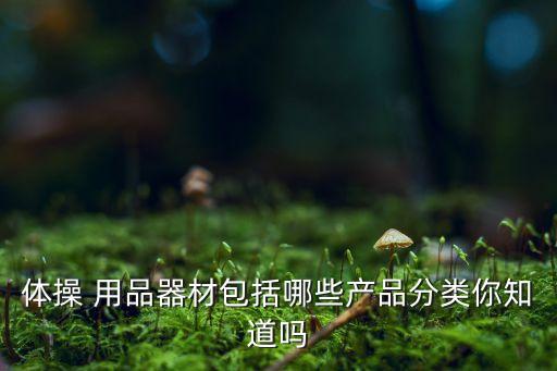 体操 用品器材包括哪些产品分类你知道吗