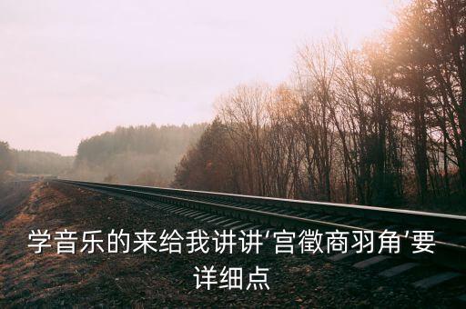 学音乐的来给我讲讲‘宫徵商羽角’要详细点