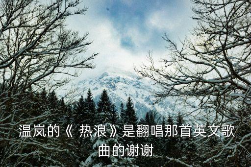  温岚的《 热浪》是翻唱那首英文歌曲的谢谢
