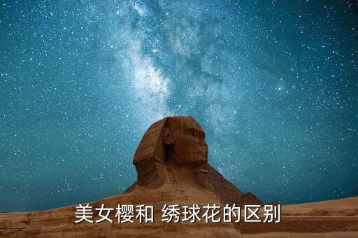 绣球女舞蹈介绍,小伙子接住绣球很享受把它扔给姑娘