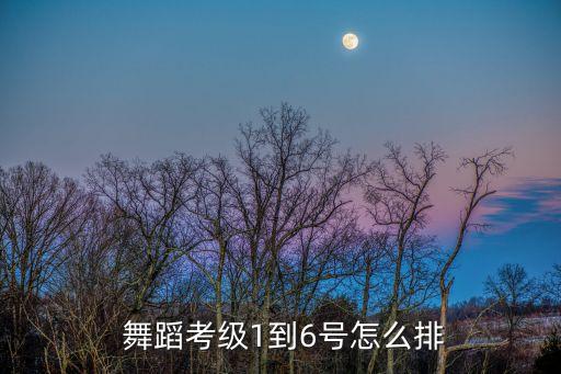  舞蹈考级1到6号怎么排