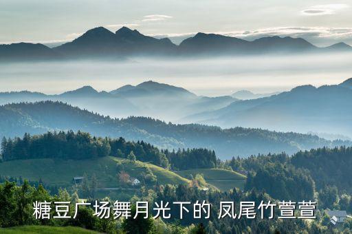 糖豆广场舞月光下的 凤尾竹萱萱