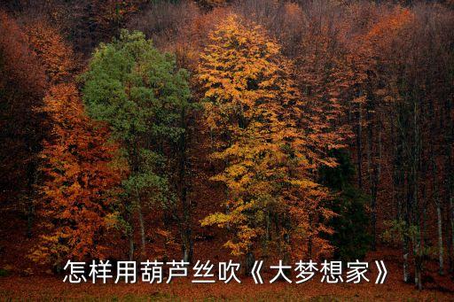 怎样用葫芦丝吹《大梦想家》
