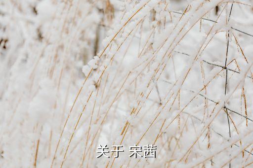 宋茜北京舞蹈大赛,我和你一样希望被尊重