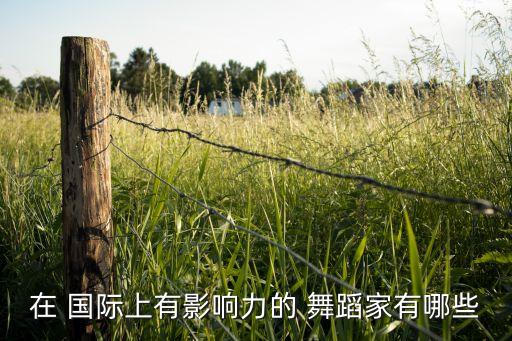 在 国际上有影响力的 舞蹈家有哪些