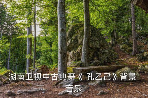 湖南卫视中古典舞《 孔乙己》背景 音乐