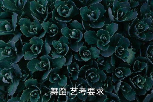 艺考舞蹈外貌占分值,艺考满分:声乐器乐器演奏满分为100分