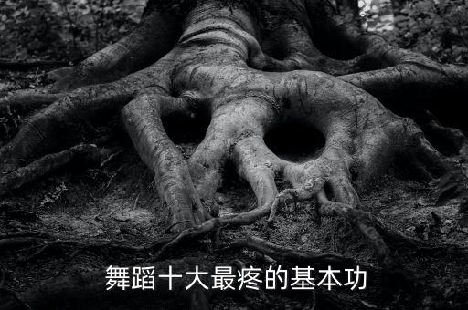  舞蹈十大最疼的基本功