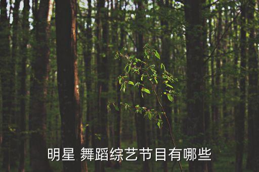 明星 舞蹈综艺节目有哪些