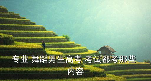 专业 舞蹈男生高考 考试都考那些 内容