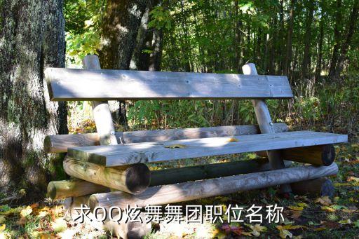 求QQ炫舞舞团职位名称