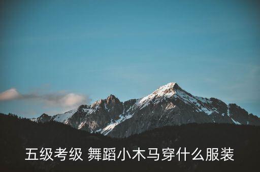 五级考级 舞蹈小木马穿什么服装