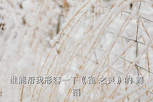 谁能帮我形容一下《雀 之灵》的 舞蹈