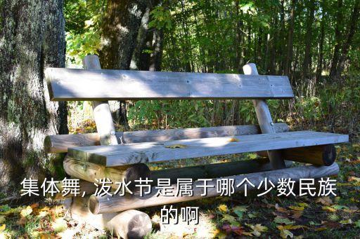集体舞, 泼水节是属于哪个少数民族的啊