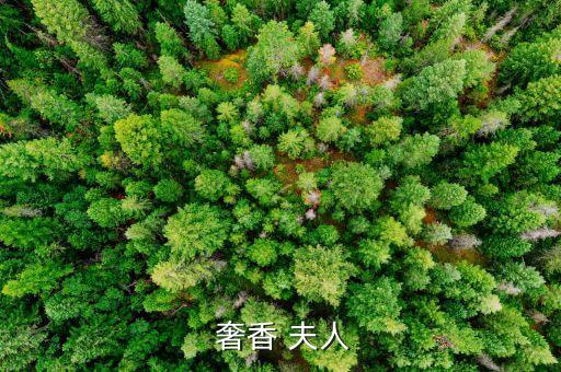 奢香夫人 舞蹈视频,四川永宁小儿子掌宣威大使父亲汤米去世