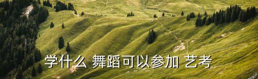 艺考应该选什么舞蹈,舞蹈可以考虑更多东西