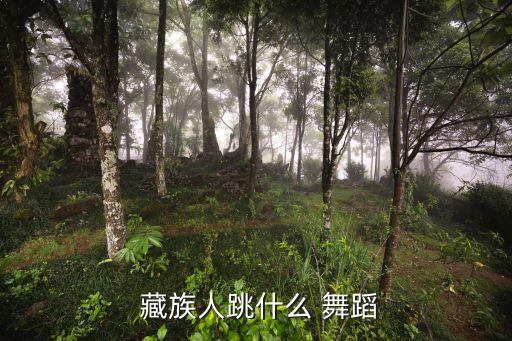藏族的热巴舞蹈,会说话就能唱歌，会走路就能跳舞藏族优美歌舞