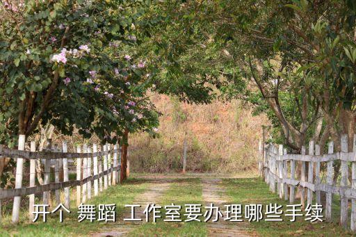 舞蹈培训工作室条件,如何开舞蹈工作室?