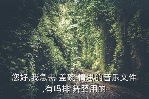 您好,我急需 盖碗 情思的音乐文件,有吗排 舞蹈用的