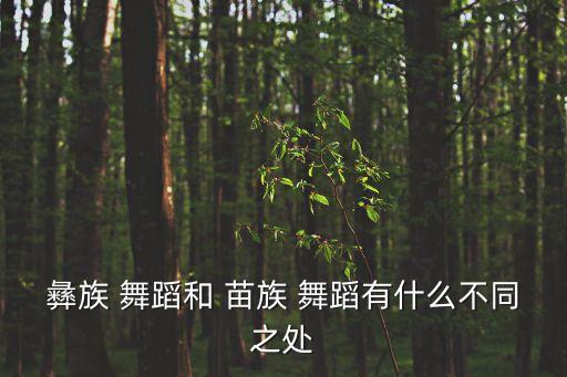 苗族两人舞蹈,我国彝族和苗族-1/2个民族舞蹈有何区别?