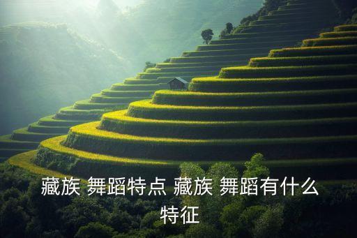  藏族 舞蹈特点 藏族 舞蹈有什么 特征