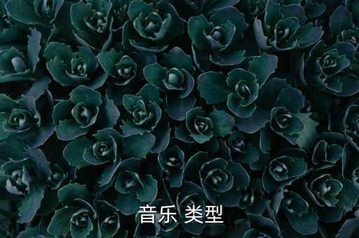  音乐 类型