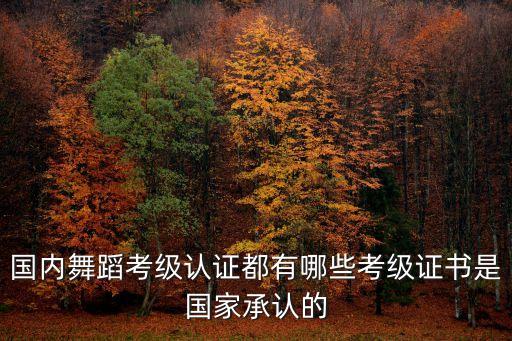 国际舞蹈家协会权威吗,舞蹈学院颁发的证书肯定是含金量最高的