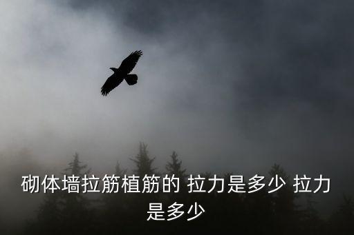 舞蹈拉力筋图片,剪力墙受拉钢筋数量约1/2分双向配筋